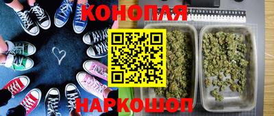 дмт Сланцы