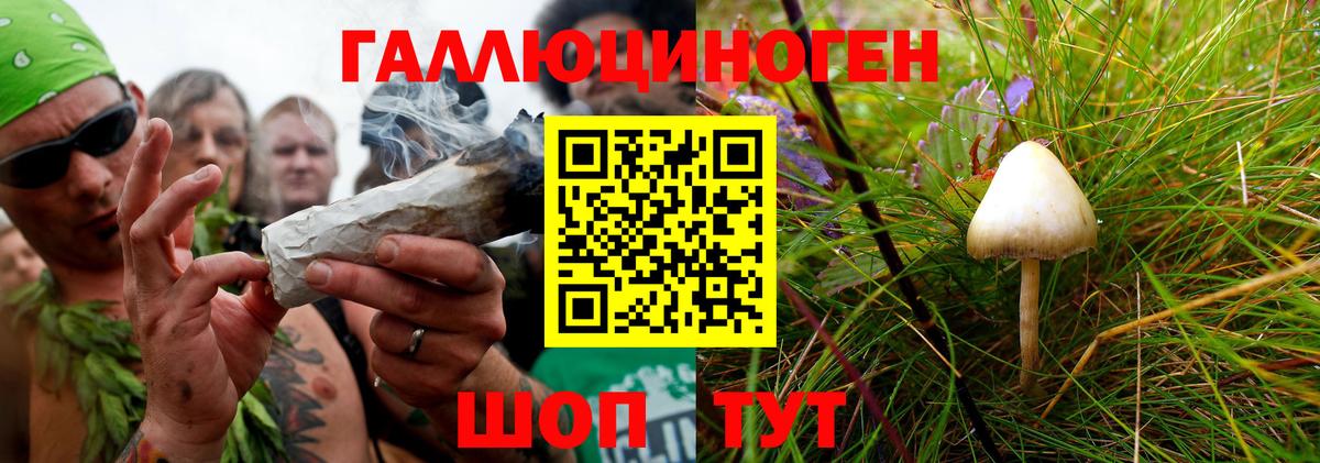 Галлюциногенные грибы Cubensis Нурлат